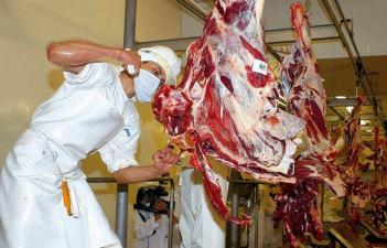 Exportación de carne: Paraguay se abrirá camino en nuevos mercados